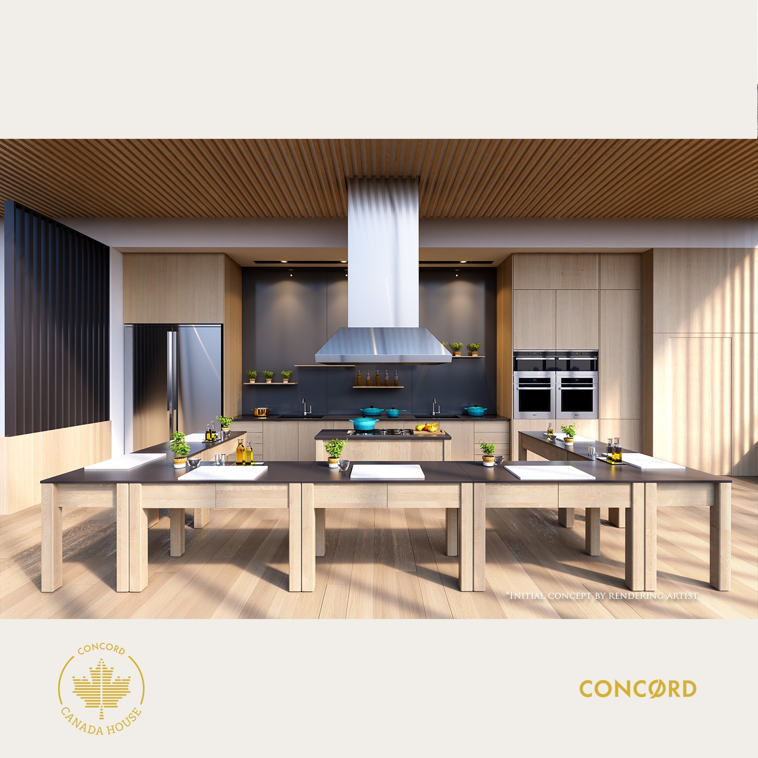 Amenity Kitchen